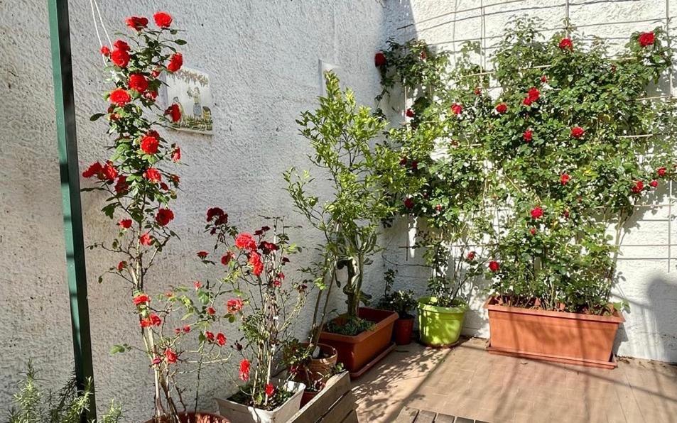 Hébergement de vacances Casa Di Nicola Cetara