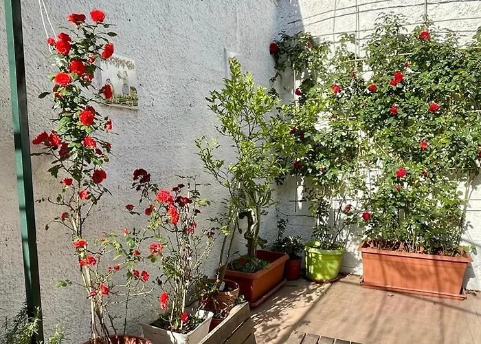 Casa Di Nicola